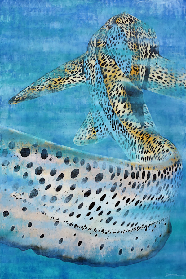 Vitamin SEA Pattern, Zebra Shark, Number 1 by Julie Siracusa, Image 1.