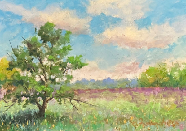 Tree in Field at Essex Greenbelt by Jeff Fioravanti