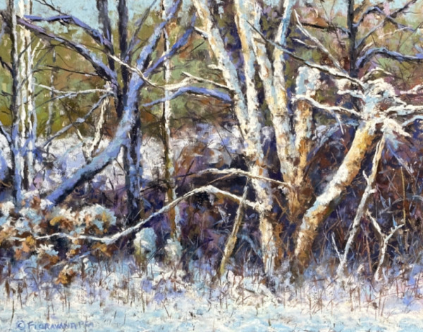 Winter Birches by Jeff Fioravanti