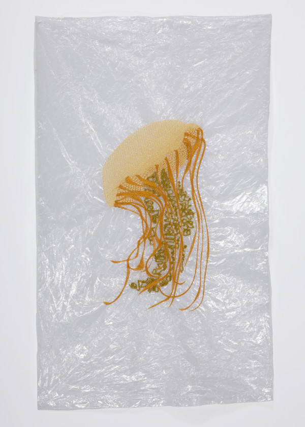 Jellyfish 001