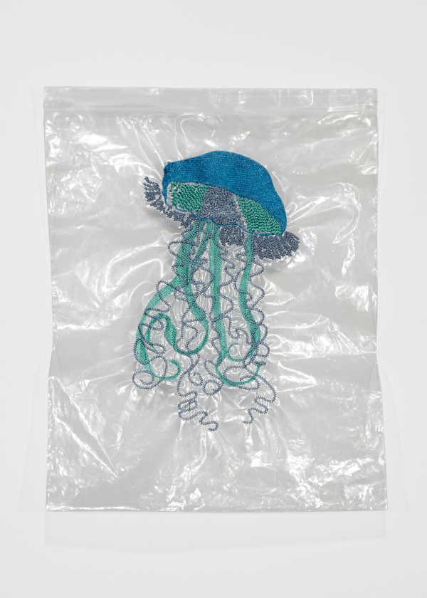 Jellyfish 014