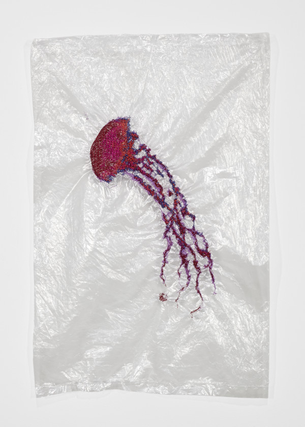 Jellyfish 016