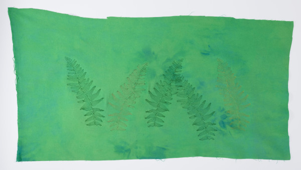 Ferns I by Katherine Earle
