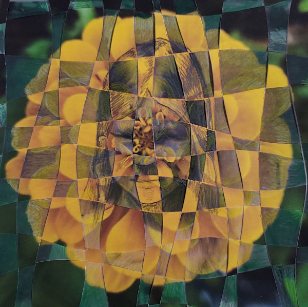 Mary/Yellow Zinnia by Linda Farrelly