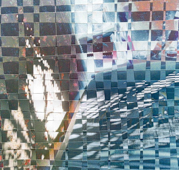 Morning Sunshine by Linda Farrelly