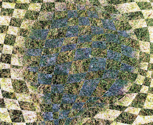 Sunshine and Shadow 1 by Linda Farrelly