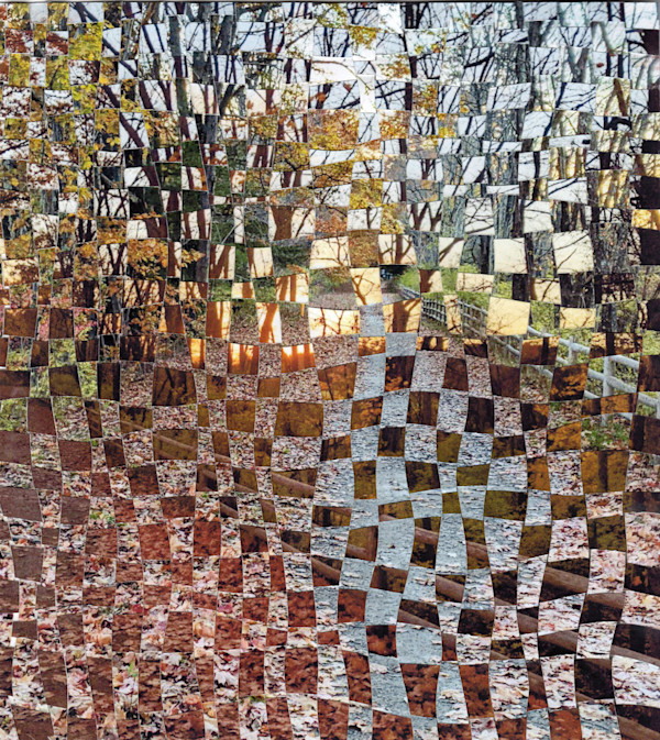 Maine Fence by Linda Farrelly