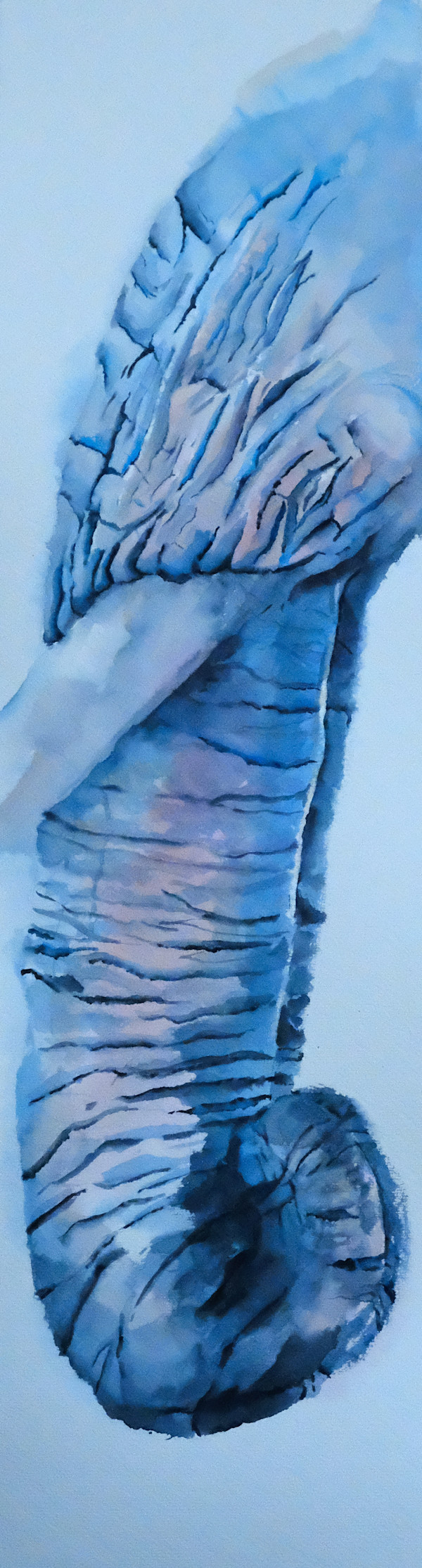 yes, i was a snake by Zarina Docken