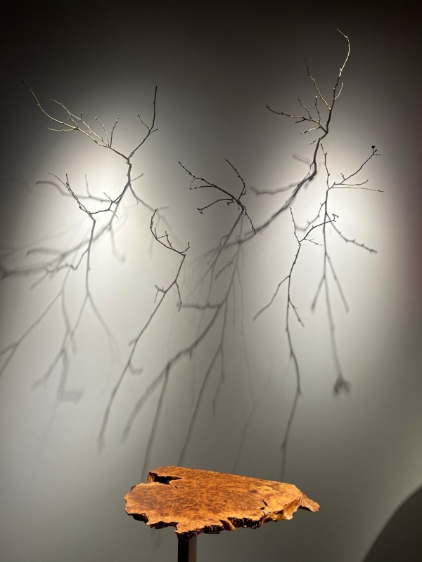 Branche (à poser ou à visser) by Clotilde ANCARANI