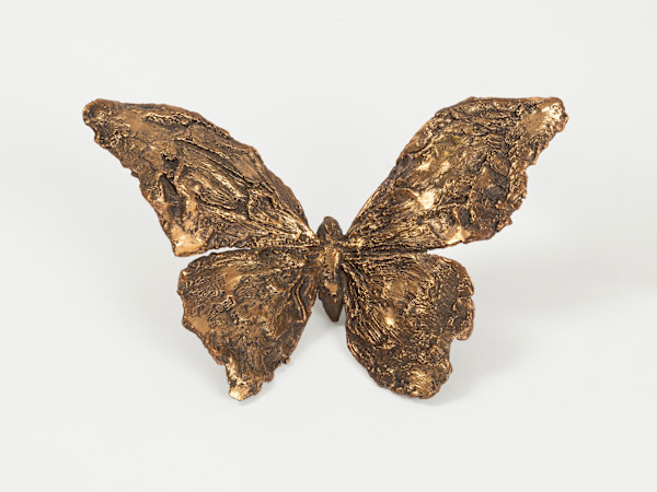 Papillon mural by Clotilde ANCARANI