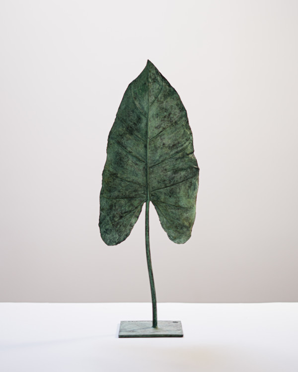 Feuille douce by Clotilde ANCARANI
