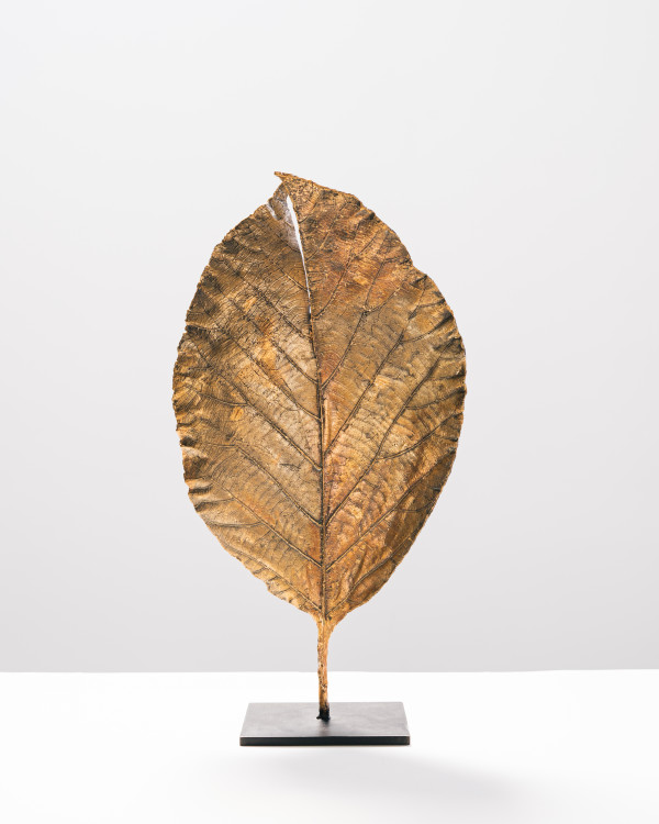 Feuille fendue by Clotilde ANCARANI