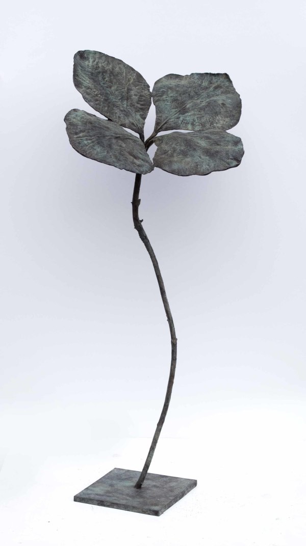 Trèfle by Clotilde ANCARANI