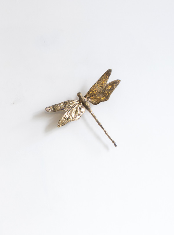 Libellule murale by Clotilde ANCARANI