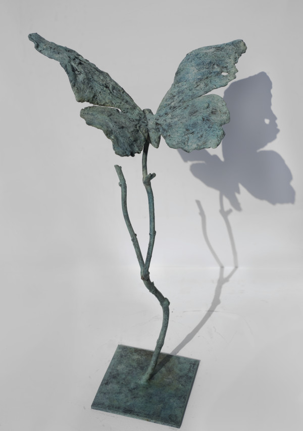 Papillon (moyen) sur branche by Clotilde ANCARANI