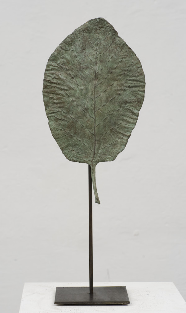 Petite feuille Ovale by Clotilde ANCARANI