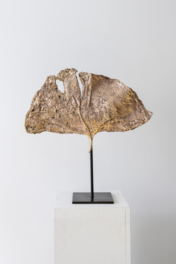 Feuilles de Ginkgo by Clotilde ANCARANI