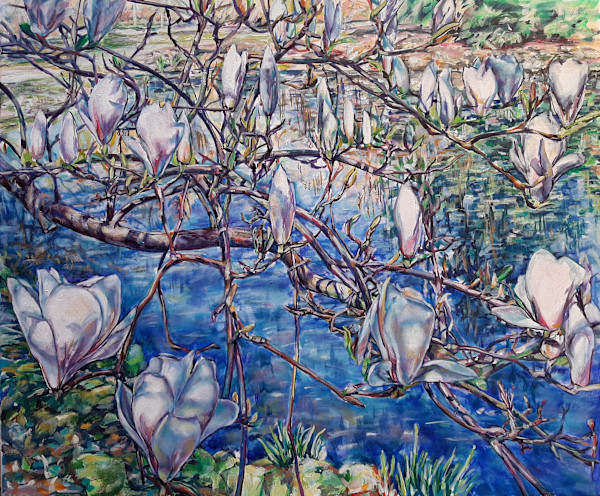 Entangled by Agnes Havran