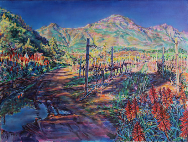 The spiderwebs of Muratie by Agnes Havran