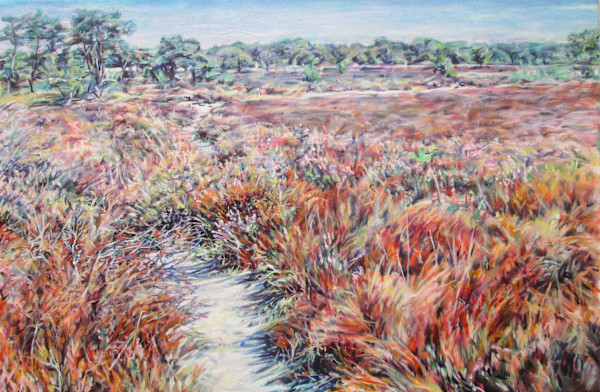 Passages by Agnes Havran