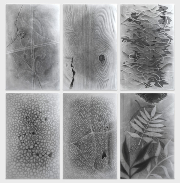 The Andover Series – Matter I—VI by Richard Gregory, Image 1.