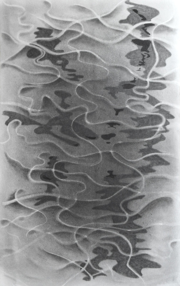 Matter III: Reverb by Richard Gregory, Image 1.