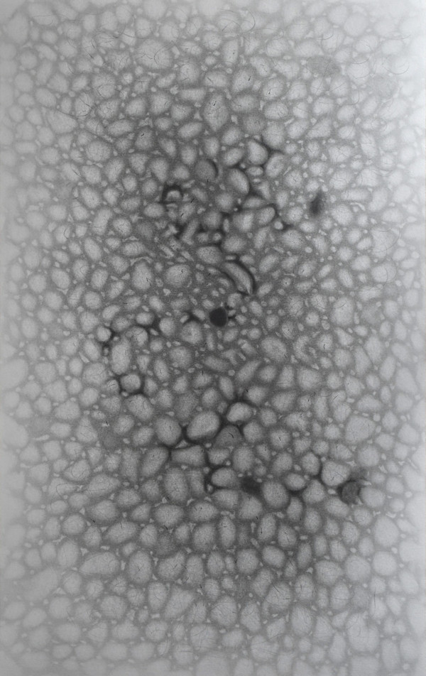 Matter IV: Source by Richard Gregory, Image 1.