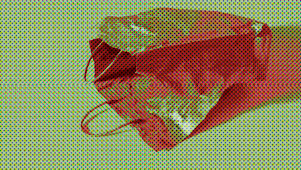 Bag by Richard Gregory, Image 1.