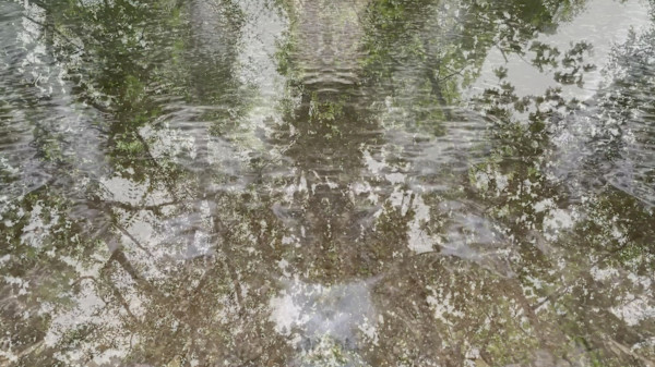 Low Ground, Shallow Water by Richard Gregory, Image 1.