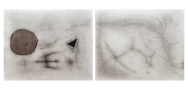 Moments From Natural History: Past, Present and Future (Diptych) by Richard Gregory, Image 1.
