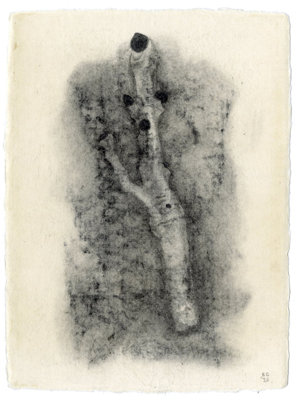 Dissipated Potential by Richard Gregory, Image 1.