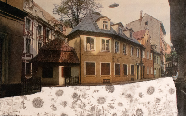 Strange Plants, Riga (Houses on Jauniela Street) by Heather Beardsley