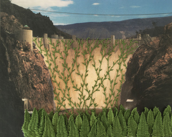 Strange Plants, Hoover Dam by Heather Beardsley