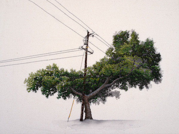 The Last Dream of the Old Oak by Michelle Robinson, Image 1.