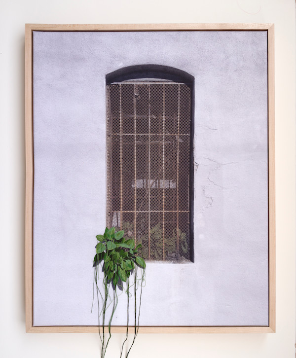 The Secret Garden by Michelle Robinson, Image 1.
