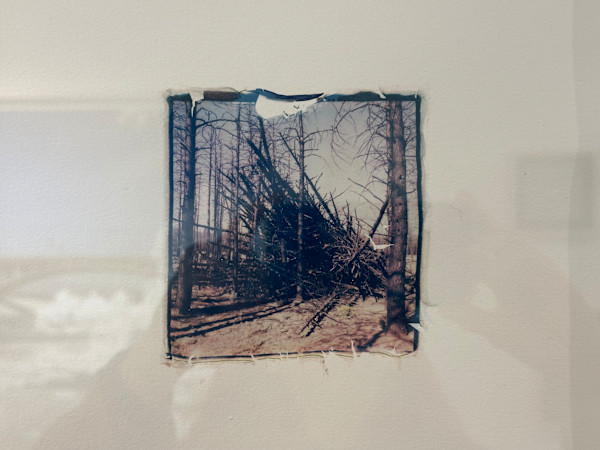 FS Road 2823 Aug 6, 3:08 PM (stacked) by Michelle Robinson