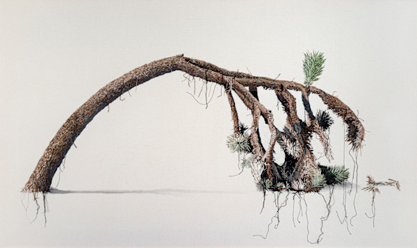 Precarity by Michelle Robinson, Image 1.