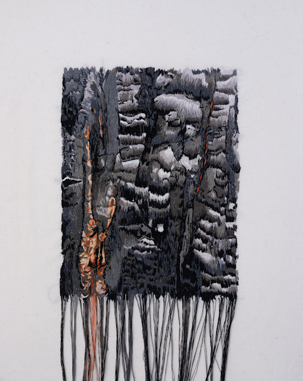 Skin (third degree) by Michelle Robinson