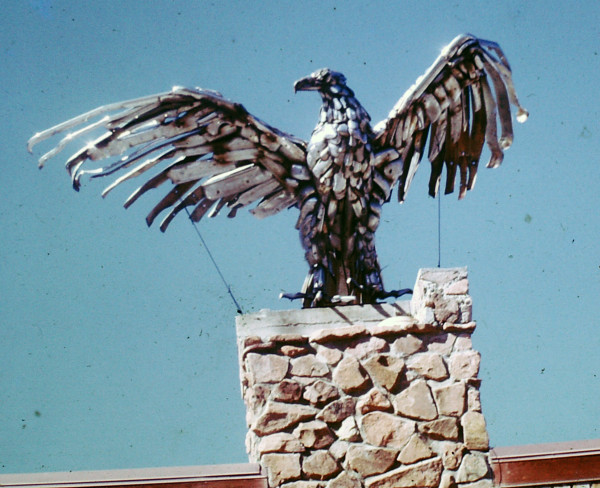 Eagle by David Solomon