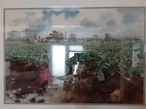 Untitled: Cabbage Farm in Costa Mesa, Ca. by David Solomon
