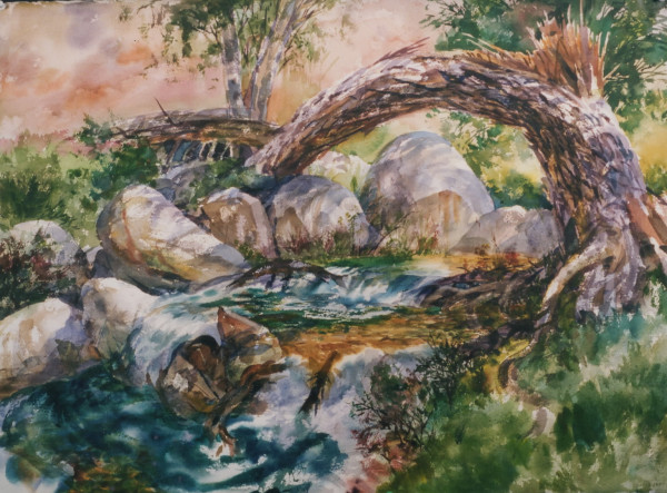 Untitle: Tree Bending Over Creek (1) by David Solomon