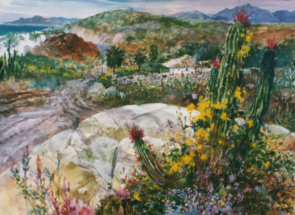 Untitled: Baja Landscape
