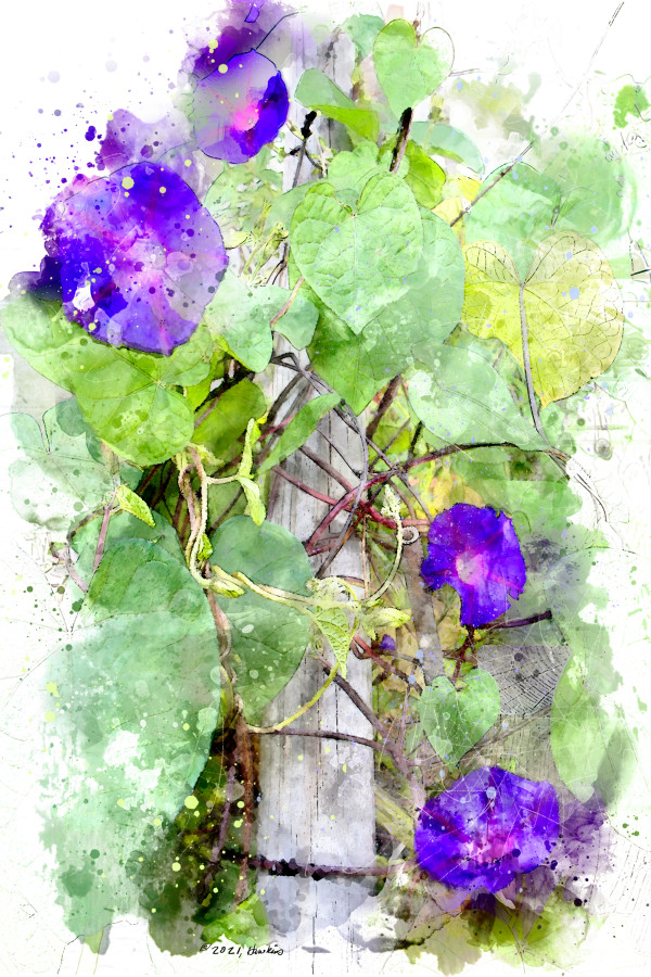 Violets and Greens