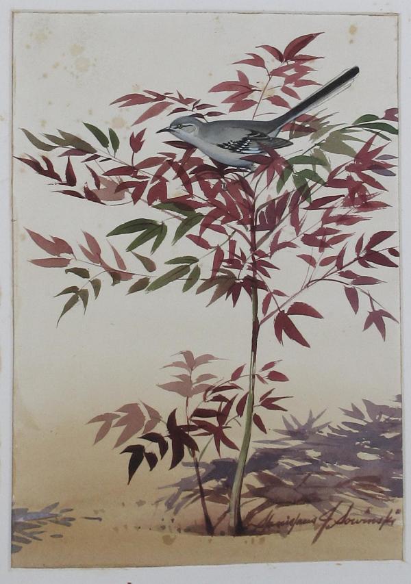 Mockingbird in the Nandina - Front by Stanislaus Sowinski