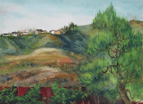 Mount Soledad houses as seen from the backyard by Yee Wah Jung