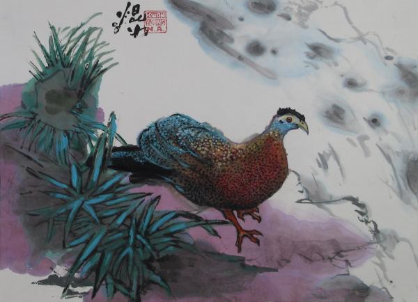 Malay Argus Pheasant by Kwan Y. Jung