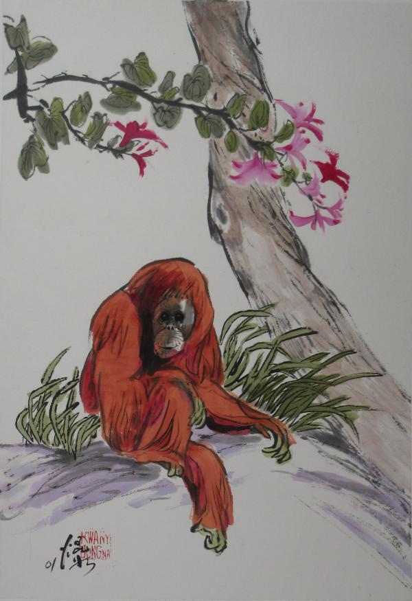 Orangutan by Kwan Y. Jung