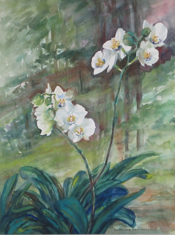 Phalaenopsis by Yee Wah Jung