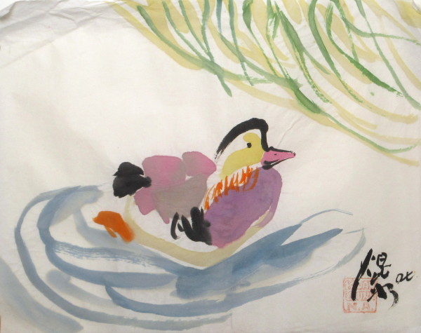 Mandarin Duck by Kwan Y. Jung