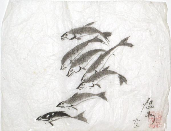 Sardines by Kwan Y. Jung